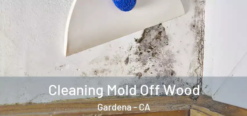  Cleaning Mold Off Wood Gardena - CA