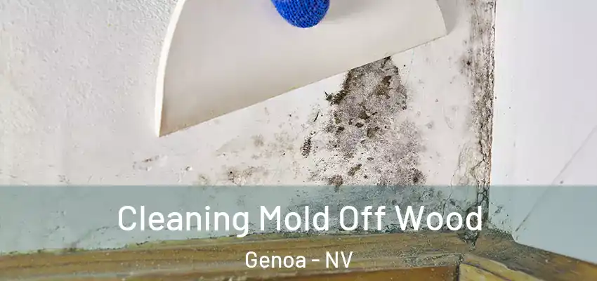  Cleaning Mold Off Wood Genoa - NV