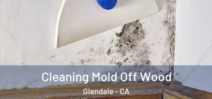  Cleaning Mold Off Wood Glendale - CA