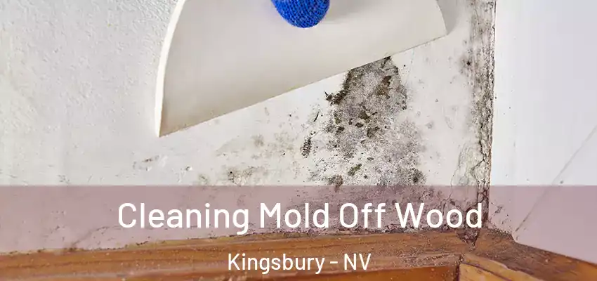  Cleaning Mold Off Wood Kingsbury - NV
