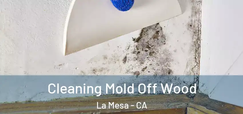  Cleaning Mold Off Wood La Mesa - CA