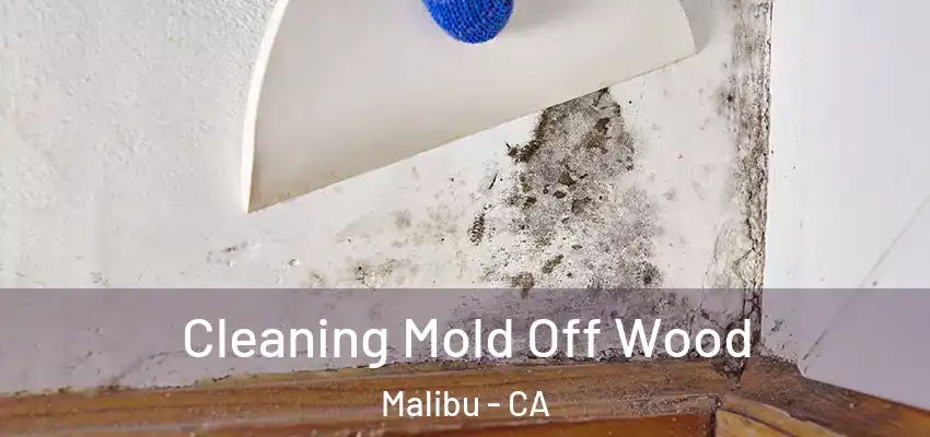  Cleaning Mold Off Wood Malibu - CA