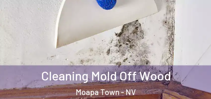 Cleaning Mold Off Wood Moapa Town - NV