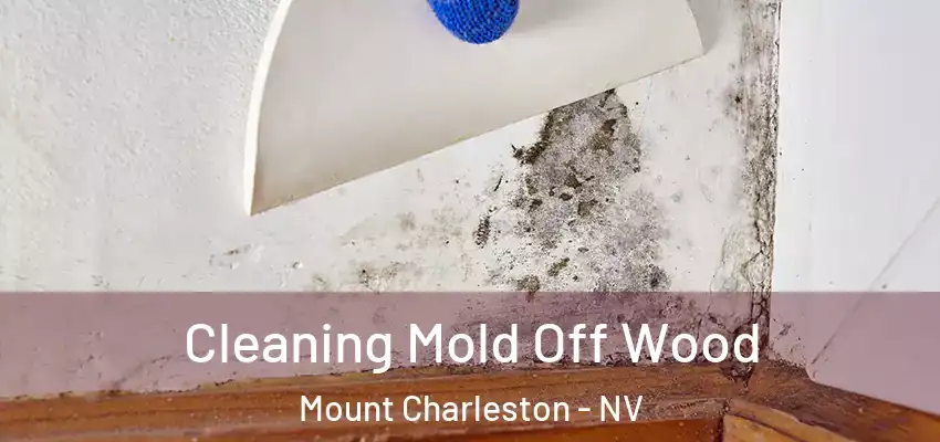  Cleaning Mold Off Wood Mount Charleston - NV