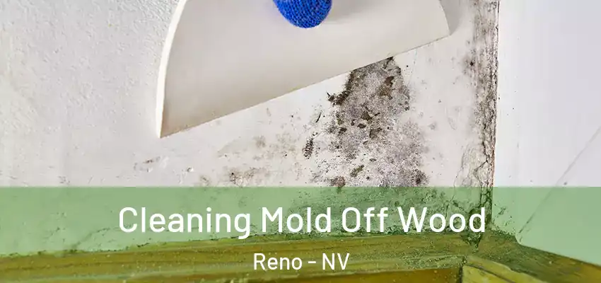  Cleaning Mold Off Wood Reno - NV