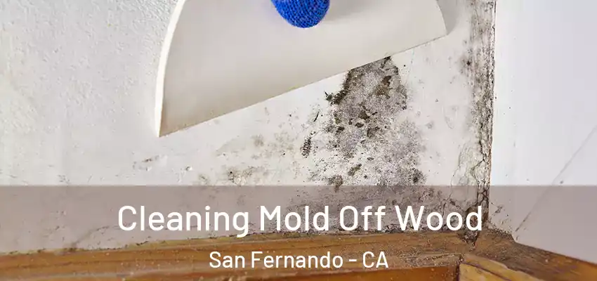  Cleaning Mold Off Wood San Fernando - CA
