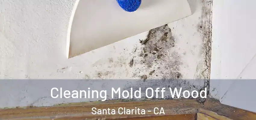  Cleaning Mold Off Wood Santa Clarita - CA