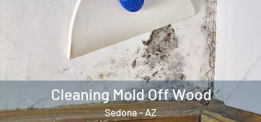  Cleaning Mold Off Wood Sedona - AZ