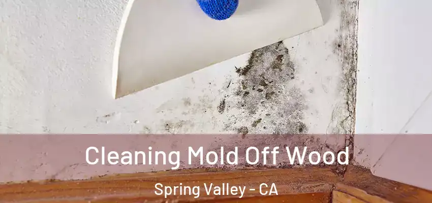 Cleaning Mold Off Wood Spring Valley - CA