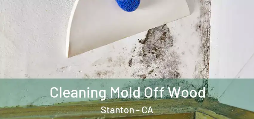  Cleaning Mold Off Wood Stanton - CA