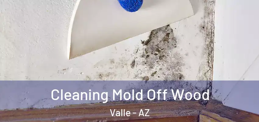  Cleaning Mold Off Wood Valle - AZ