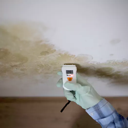 Reliable Mold Inspection Experts in Cerritos, CA