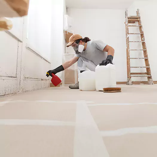 Reliable Mold Stain Remover Specialists in Cerritos, CA