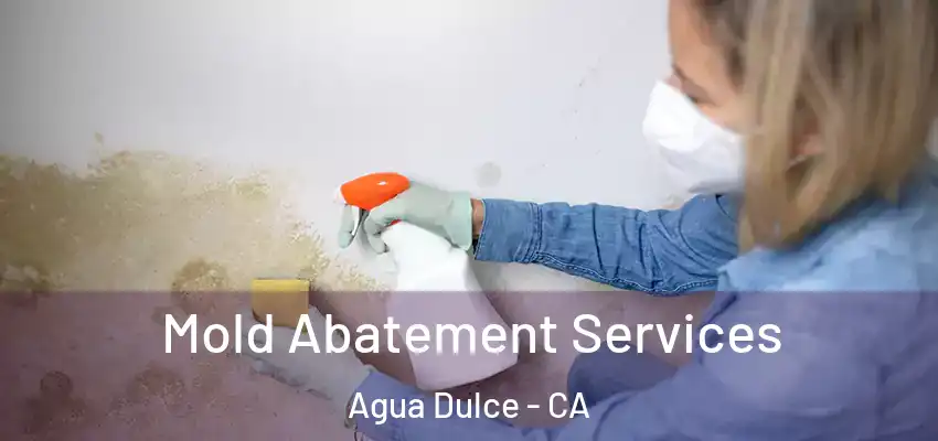  Mold Abatement Services Agua Dulce - CA