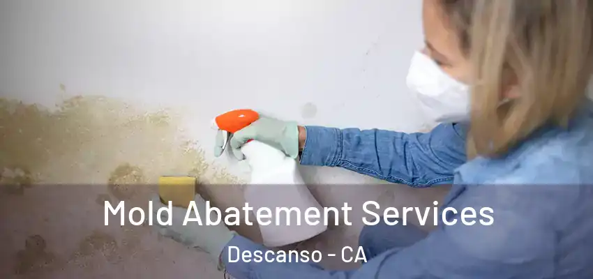  Mold Abatement Services Descanso - CA
