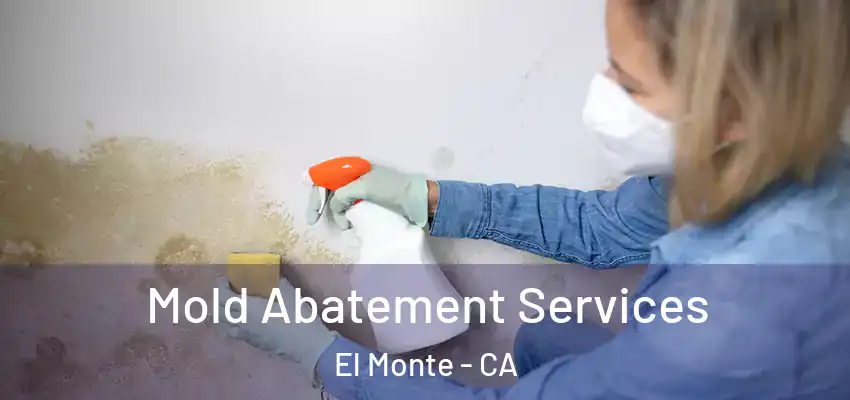  Mold Abatement Services El Monte - CA