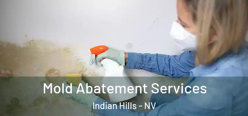  Mold Abatement Services Indian Hills - NV