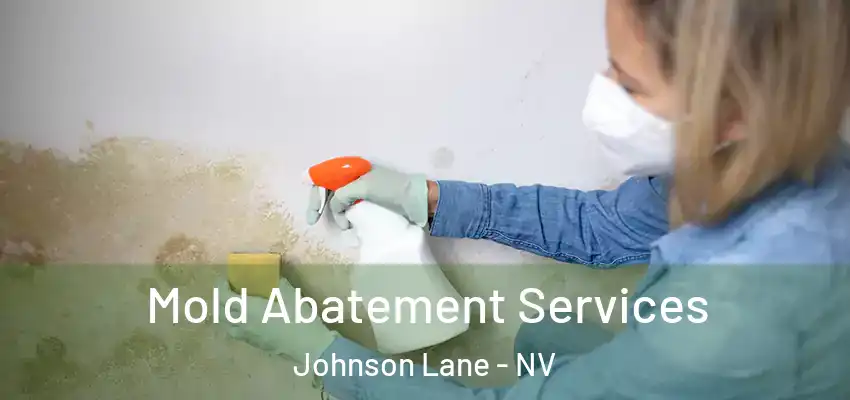  Mold Abatement Services Johnson Lane - NV