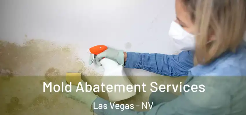  Mold Abatement Services Las Vegas - NV