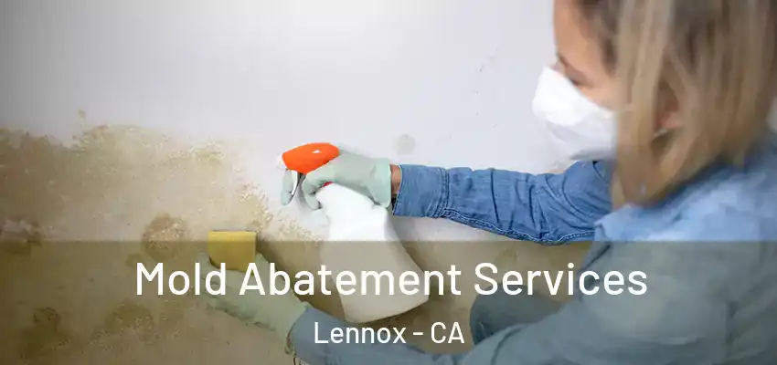  Mold Abatement Services Lennox - CA
