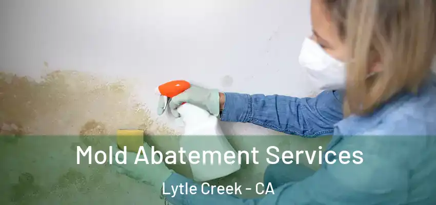  Mold Abatement Services Lytle Creek - CA