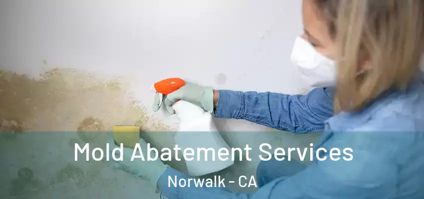  Mold Abatement Services Norwalk - CA