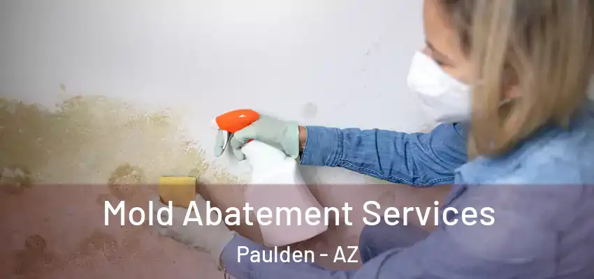  Mold Abatement Services Paulden - AZ