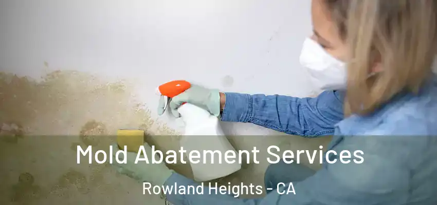 Mold Abatement Services Rowland Heights - CA