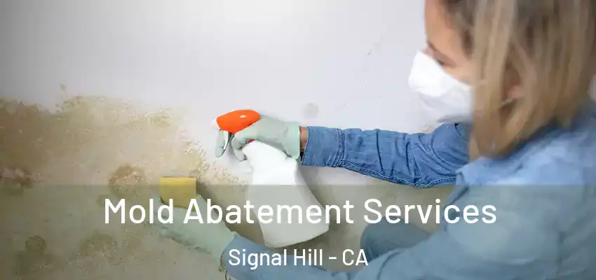  Mold Abatement Services Signal Hill - CA