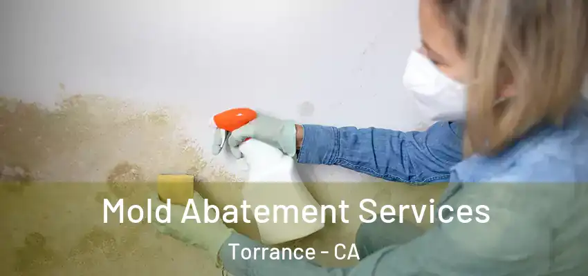 Mold Abatement Services Torrance - CA