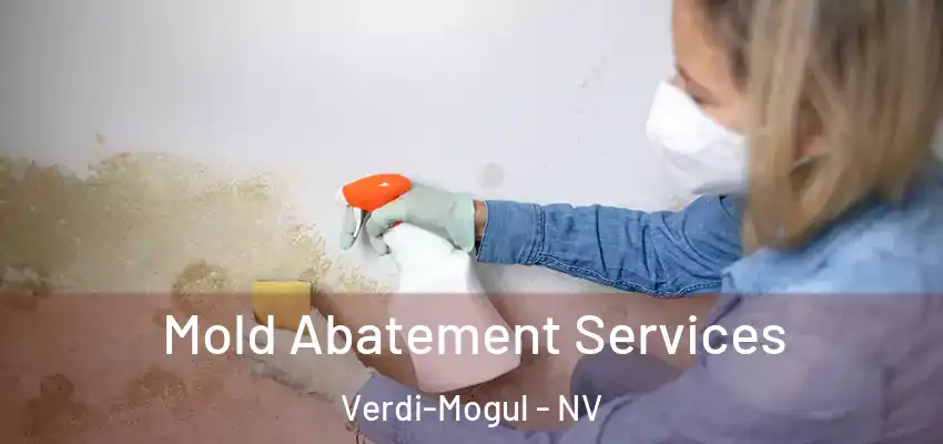  Mold Abatement Services Verdi-Mogul - NV