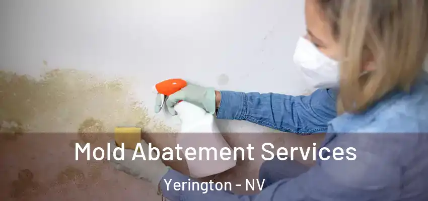  Mold Abatement Services Yerington - NV