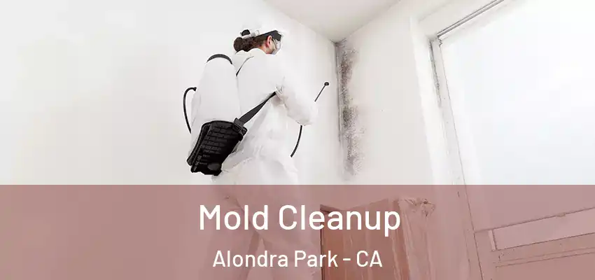  Mold Cleanup Alondra Park - CA