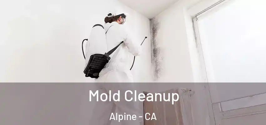  Mold Cleanup Alpine - CA