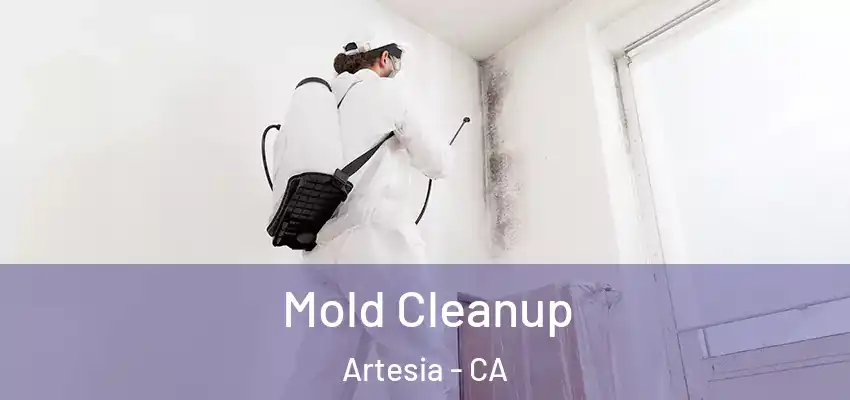  Mold Cleanup Artesia - CA
