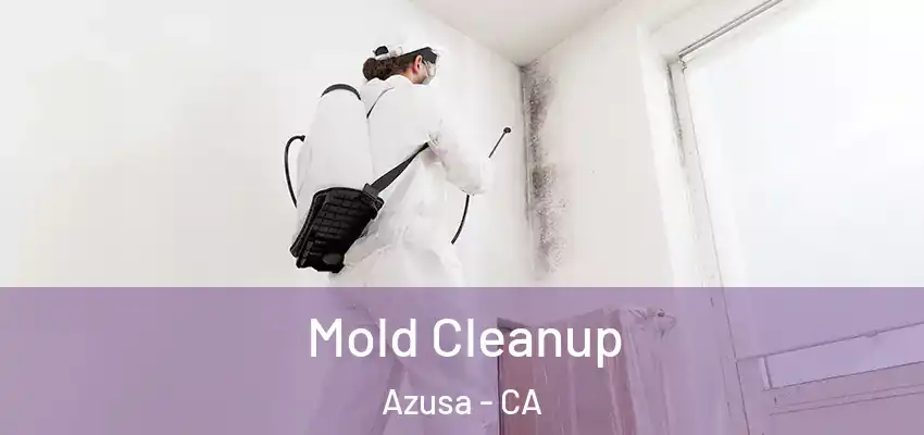  Mold Cleanup Azusa - CA