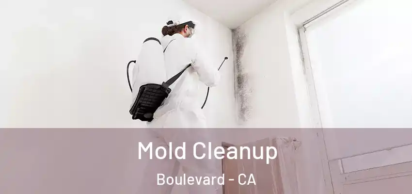  Mold Cleanup Boulevard - CA