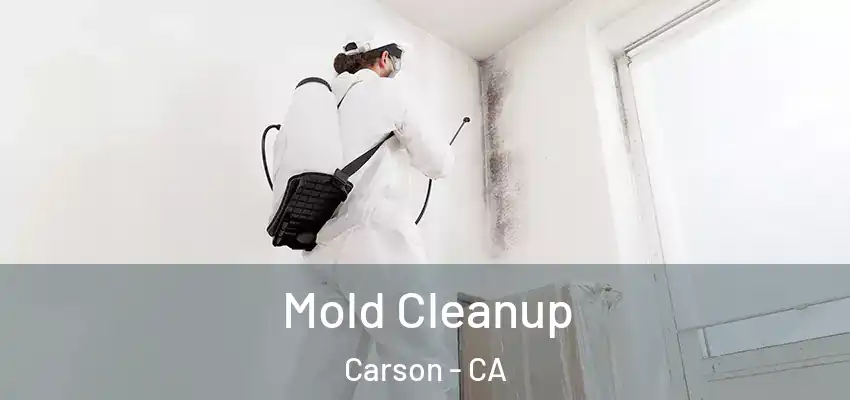 Mold Cleanup Carson - CA