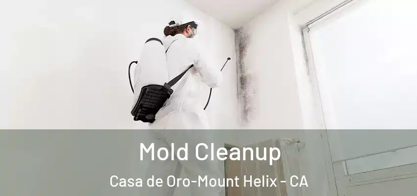  Mold Cleanup Casa de Oro-Mount Helix - CA
