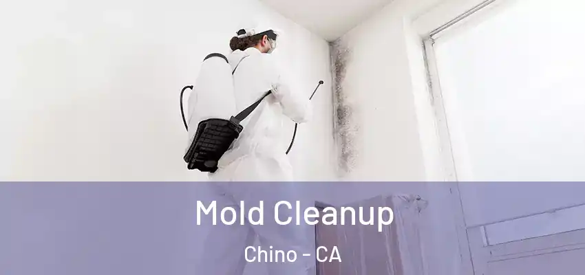 Mold Cleanup Chino - CA