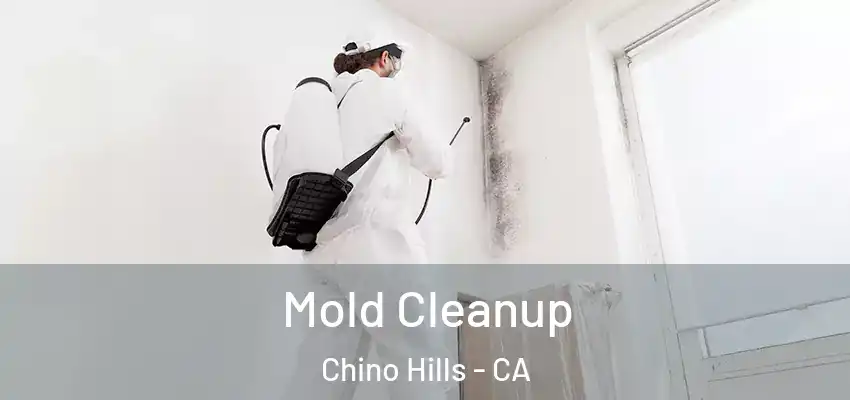  Mold Cleanup Chino Hills - CA