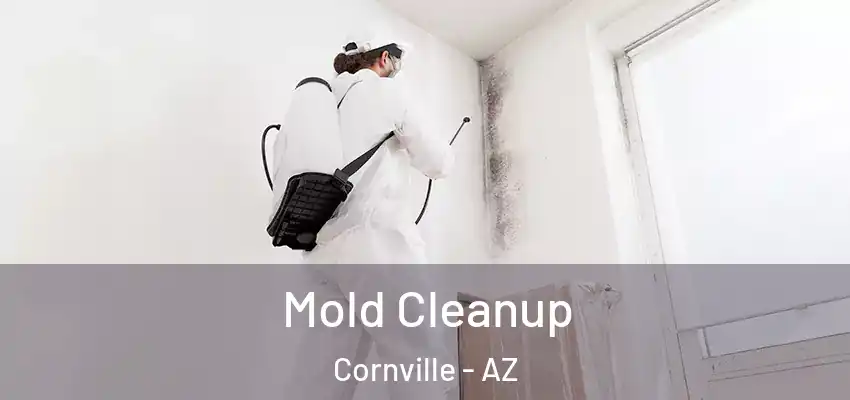 Mold Cleanup Cornville - AZ