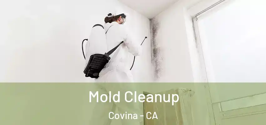  Mold Cleanup Covina - CA