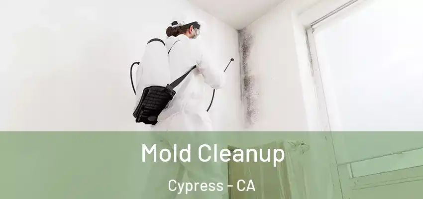  Mold Cleanup Cypress - CA
