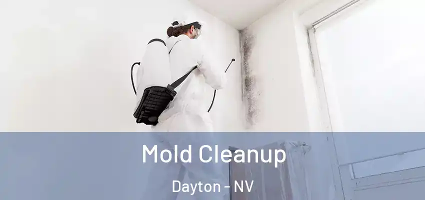  Mold Cleanup Dayton - NV