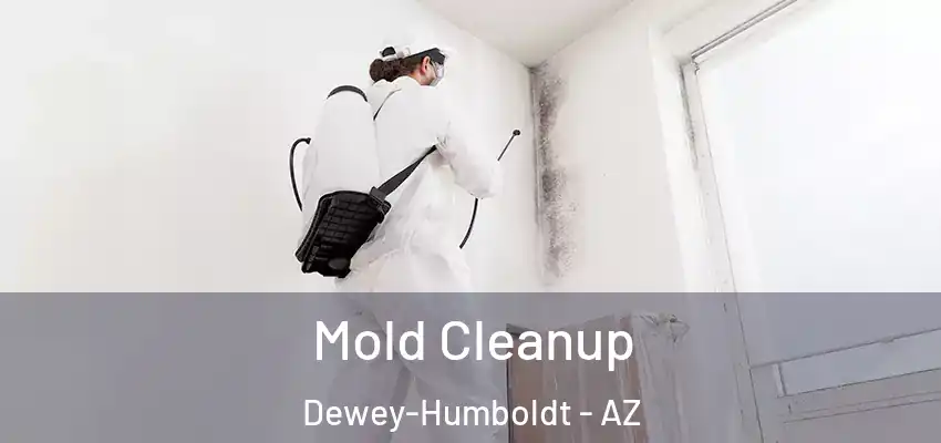  Mold Cleanup Dewey-Humboldt - AZ