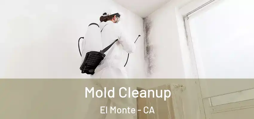  Mold Cleanup El Monte - CA