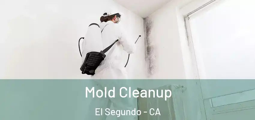  Mold Cleanup El Segundo - CA