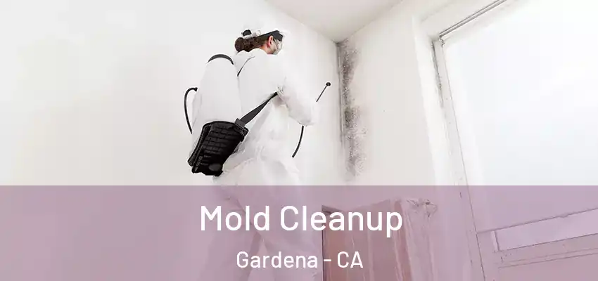  Mold Cleanup Gardena - CA