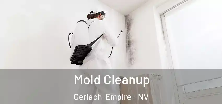 Mold Cleanup Gerlach-Empire - NV